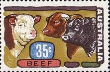 Primary Industries - Beef