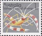 Banded Coral Shrimp (Stenopus hispidus)