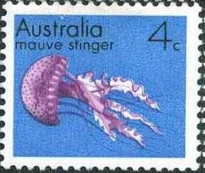 Mauve Stinger (Pelagia noctiluca)