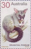 Common Brushtail Possum (Trichosurus vulpecula)