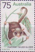 Feather-tailed Glider (Acrobates pygmaeus)