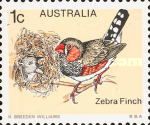 Zebra Finch (Taeniopygia guttata)