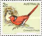 Crimson Finch (Neochmia phaeton)