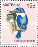 Forest Kingfisher (Todiramphus macleayii)