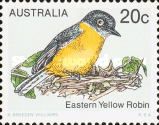 Eastern Yellow Robin (Eopsaltria australis)