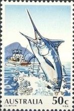 Deep Sea Fishing. Blue Marlin (Makaira nigricans)