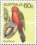 King Parrot (Alisterus scapularis)