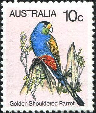 Golden Shouldered Parrot (Psephotellus chrysopterygius)