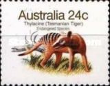 Thylacine (Thylacinus cyanocephalus)