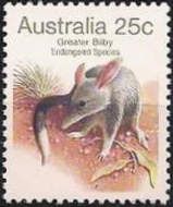 Greater Bilby (Macrotis lagotis) - P(12¾)