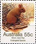 Greater Stick-nest Rat (Leporillus conditor)