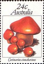 Cortinarius cinnabarinus