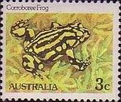 Corroboree Frog (Pseudophryne corroboree) - perf: 12¾