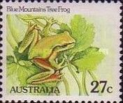 Blue Mountains Tree Frog (Litoria citropa)