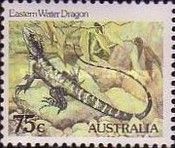 Eastern Water Dragon (Physignathus lesueurii) - perf: 12¾