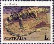 Lace Monitor (Varanus varius)