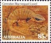 Centralian Blue-tongued Lizard (Tiliqua multifasciata)