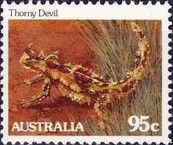 Thorny Devil (Moloch horridus)