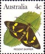 Regent Skipper (Euschemon rafflesia)