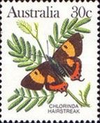 Chlorinda Hairstreak (Pseudalmenus chlorinda)