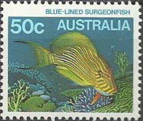 Blue-lined Surgeonfish (Acanthurus lineatus)