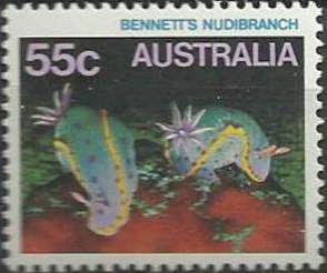 Bennet's Nudibranch (Hypselodoris bennetti)