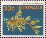 Leafy Seadragon (Phycodurus eques)
