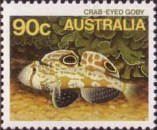 Crab-eyed Goby (Signigobius biocellatus)