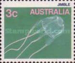 Jimble Jellyfish (Carybdea rastoni)