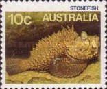 Reef Stonefish (Synanceia verrucosa)