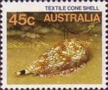 Textile Cone (Conus textile)