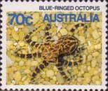 Southern Blue-ringed Octopus (Hapalochlaena maculosa)