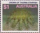 Crown-of-thorns Starfish (Acanthaster planci)