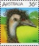 Emu (Dromaius novaehollandiae)