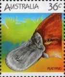 Duck-billed Platypus (Ornithorhynchus anatinus)