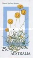 Mount Buffalo Sunray (Leucochrysum albicans)
