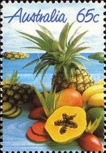 Tropical Fruit