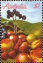 Stone & Berry Fruit