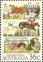 Livestock, Show Jumping, Pig Breeding