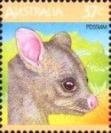 Common Brushtail Possum (Trichosurus vulpecula)