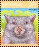 Common Wombat (Vombatus ursinus)