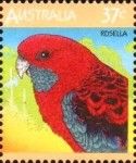 Crimson Rosella (Platycercus elegans)