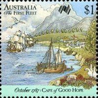 Fleet at Cape Town