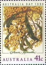 Australia Day 1990 - Golden Wattle (Acacia pycnantha)