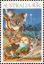 Koala (Phascolarctos cinereus)