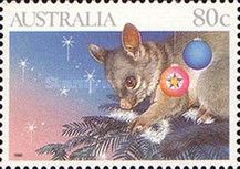 Possum on Christmas Tree