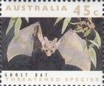 Ghost Bat (Macroderma gigas)