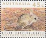 Dusky Hopping-mouse (Notomys fuscus)