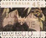 Ghost Bat (Macroderma gigas)