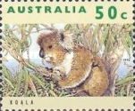 Koala (Phascolarctos cinereus)